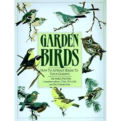 Garden Birds: How to Attracts Birds to Your Garden