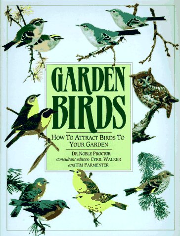 garden birds how to attract birds to your garden