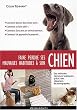 Faire perdre ses mauvaises habitudes � son chien