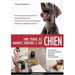 Faire perdre ses mauvaises habitudes � son chien