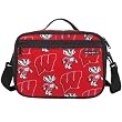 University of Wisconsin Logo UW Badgers Insulated Lunch Box Cooler Bag - NO Lead Lead-Free Lunchbox