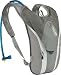 CamelBak Charm Women's Hydration Pack (Silver/Graphite)
