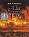 The Great Fire (Newbery Honor Book)