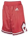 Chicago Bulls Youth Replica Shorts
