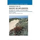 Click here to buy Introduction to Shore Wildflowers of California, Oregon, and Washington, Revised Edition (California Natural History... by  Philip A. Munz, Dianne Lake, and Phyllis Faber.