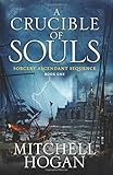 A Crucible of Souls: Book One of the Sorcery Ascendant Sequence