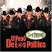 Papa De Los Pollitos