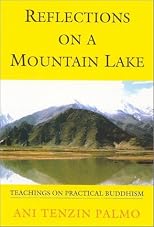 Reflections On A Mountain Lake: Teachings on Practical Buddhism