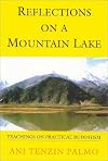Reflections On A Mountain Lake: Teachings on Practical Buddhism by PalmofVenerableTenzin