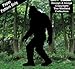 Bigfoot Woodcraft Pattern