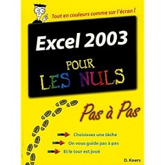 Excel 2003 pour les Nuls