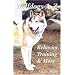 Own a Wolf hybrid