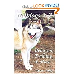 Wolfdogs A-Z: Behavior, Training & More (Wolf Hybrids)