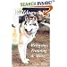 Wolfdogs A-Z: Behavior, Training & More (Wolf Hybrids)