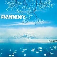 Sumday [Vinyl LP]