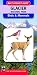 Mac's Pocket Guide: Glacier National Park, Birds & Mammals (Mac's Pocket Guides)