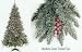 6.5 Pre Lit Med Hawthorne Fir Frosted Artificial Christmas Tree   Clear Lights