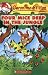 Four Mice Deep in the Jungle (Geronimo Stilton, No. 5)