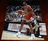 Signed Scottie Pippen Photo - 16x20 + JSA COA - Autographed NBA Photos