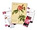 Gift Republic Name a Rose Gift Box. Grow and Name Your Own Rose