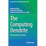 the computing dendrite from structure to function springer series in computational neuroscience