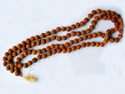 Yoga Gift- Full Rudraksha Mala Yoga Meditation Shiva Mala (108+1) Beads
