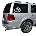 Colorado Golden Buffaloes Team Window Decal