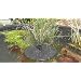 Sunspray SE 360 solar fountain for small ponds and containers with battery backup and adjustable flow pump