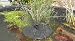 Sunspray SE 360 solar fountain for small ponds and containers with battery backup and adjustable flow pump