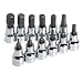 SK Hand Tools 19706 3/8-Inch Drive Metric Hex Bit Socket Set, 12-Piece