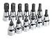 SK Hand Tools 19706 12-Piece 3/8-Inch Drive Metric Hex Bit Socket Set