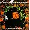 Van Morrison's Essential 19 + something a bit special