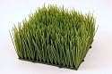 Artificial Wheat Grass- Fake Soft PVC Plastic Decorative Wheatgrass: Ornamantal Flower Arranging & Home Decor - 6"x6"x4"