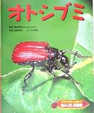 イメージ: ドキドキいっぱい!虫のくらし写真館〈19〉オトシブミ