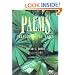 Palms Throughout the World