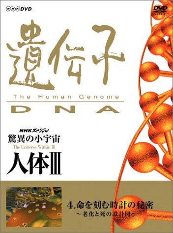 NHKスペシャル 驚異の小宇宙 人体III 遺伝子~DNA 第4集 命を刻む時計の秘密~老化と死の設計図~ [DVD]
