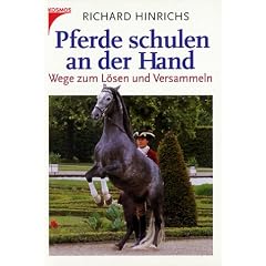 Pferde schulen an der Hand