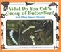 What Do You Call a Group of Butterflies? And Other Insect Groups (What Do You Call a Group Of)
