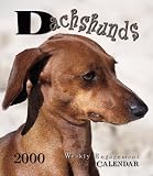Dachshunds