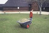 henchman 175 litre barrow trailer