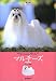 マルチーズ (愛犬の友 犬種ライブラリー)
