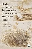 Sludge reduction technologies in wastewater treatment plants