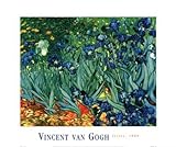 IMAGE OF Irises in the Garden, Saint-Remy, c.1889 FINEST BRAND CANVAS Print With Added Heavy BRUSHSTROKES Vincent Van Gogh 26x22