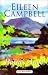 Barra's Angel (Ulverscroft Large Print Series)