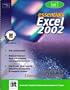 Essentials: Excel 2002 (Level 3)