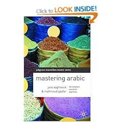 Mastering Arabic