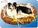 Armarkat Cat Dog Pet Bed Mat House Large P0723L