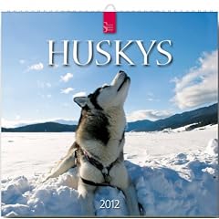 Huskys 2012