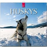 Huskys 2012von "iStockphoto"