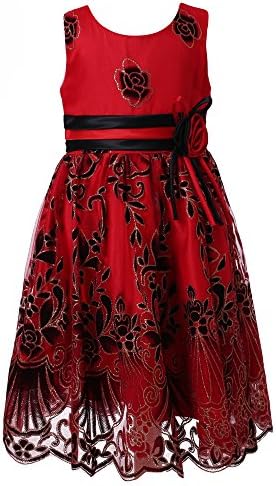 Richie House Little Big Girls' Sweet Party Multi-layered Dress Size 2-12 Rh2142